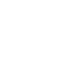 blinkfire white logo